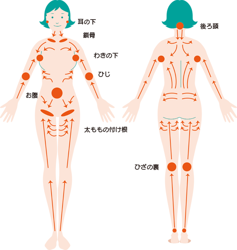 リンパの位置を表したイラスト